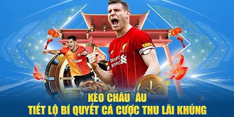 Chiến thuật đặt cược 1x2 mang đến lợi nhuận khủng