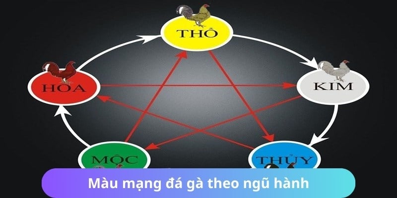 Kiến thức màu mạng đá gà theo nguyên tắc ngũ hành